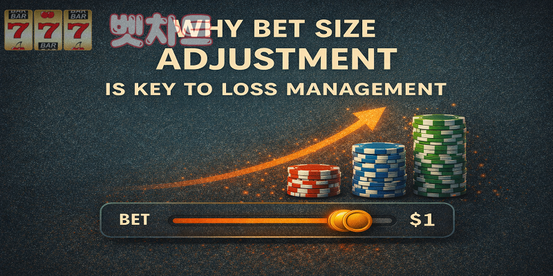 베팅 단계 조절이 손실 관리의 핵심인 이유