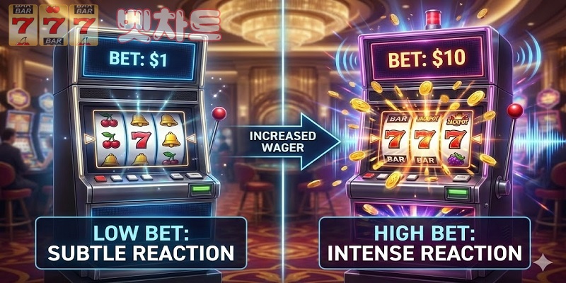 베팅 금액 변화가 슬롯 반응처럼 느껴지는 이유