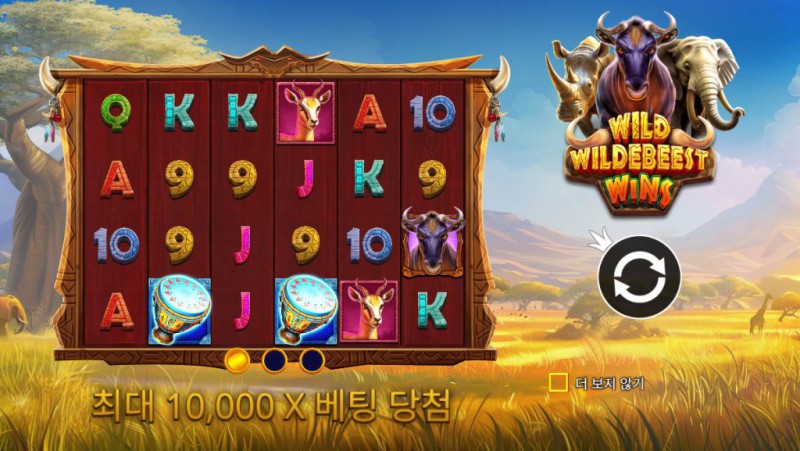 Wild Wildebeest Wins