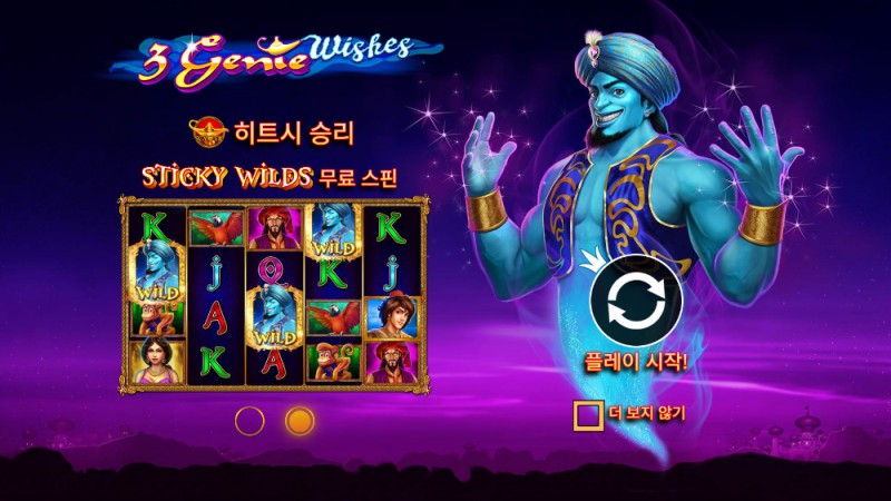 3 Genie Wishes
