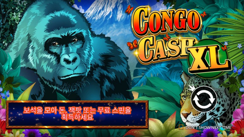 Congo Cash XL