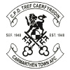 홈팀 Carmarthen Town 아이콘