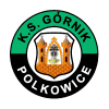홈팀 KS Polkowice 아이콘
