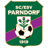 원정팀 SC-ESV Parndorf 아이콘